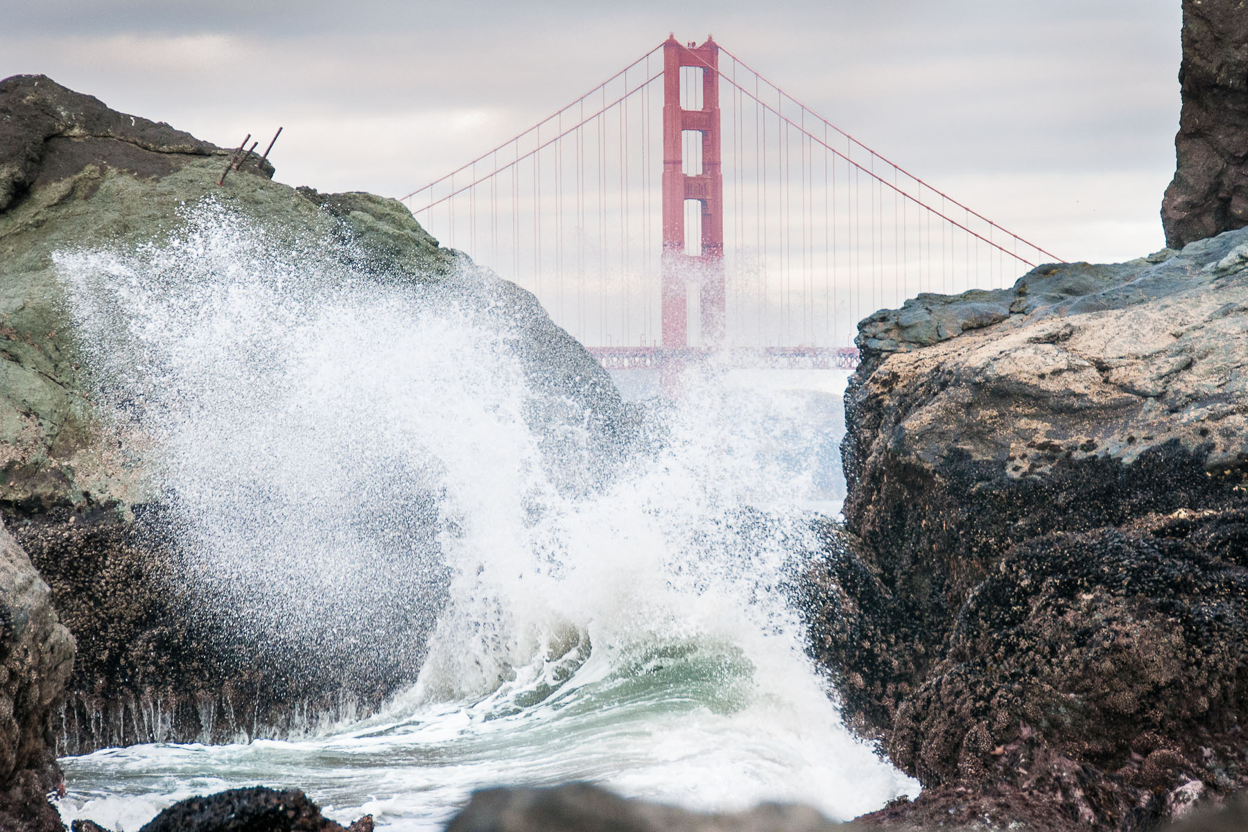 goldengatebridgewaves